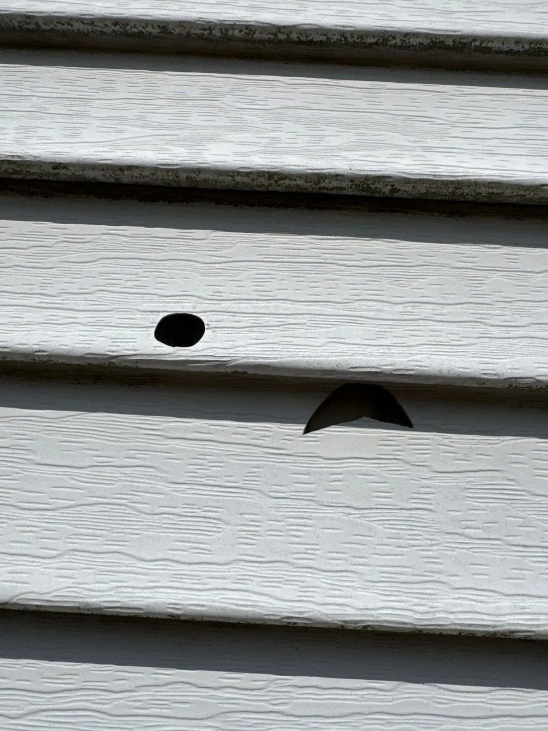 Vinyl siding: A close-up of hail holes in vinyl